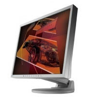 Eizo FlexScan S1932, Grey (20860)